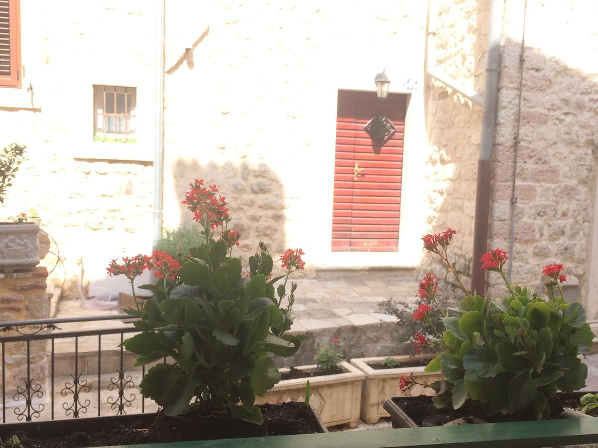 קוטור Apartment Ozana מראה חיצוני תמונה